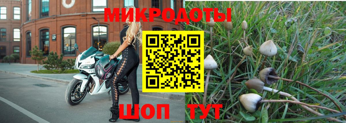 цена наркотик  Псилоцибиновые грибы MAGIC MUSHROOMS  Черногорск  Вход с VPN  Галлюциногенные грибы MAGIC MUSHROOMS 